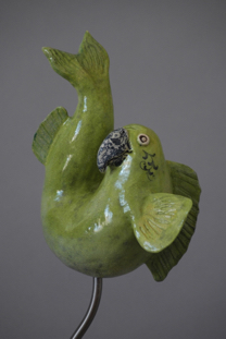 Parrotfish 25cm.